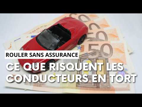 découvrez les meilleures options d'assurances auto pour 2025. comparez les tarifs, les garanties et choisissez la couverture qui vous convient le mieux pour protéger votre véhicule.