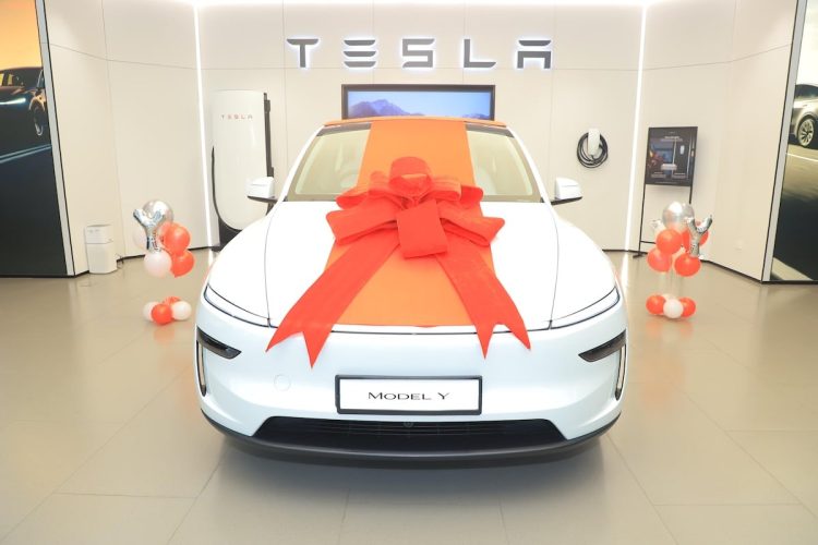 Tesla est toujours en quête de la prise idéale en Inde : un défi qui pourrait tout changer !