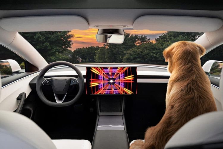 La stratégie secrète de Tesla pour surmonter les défis majeurs de la conduite autonome et d’Optimus révélée !